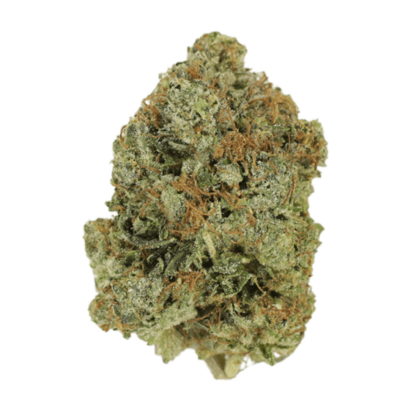 Jack Herer (popcorn) | HighGradeAid Canada