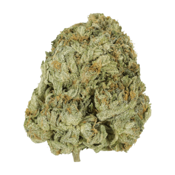 Godzilla Glue | HighGradeAid Canada