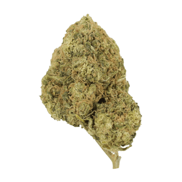 Laughing Buddha | HighGradeAid Canada