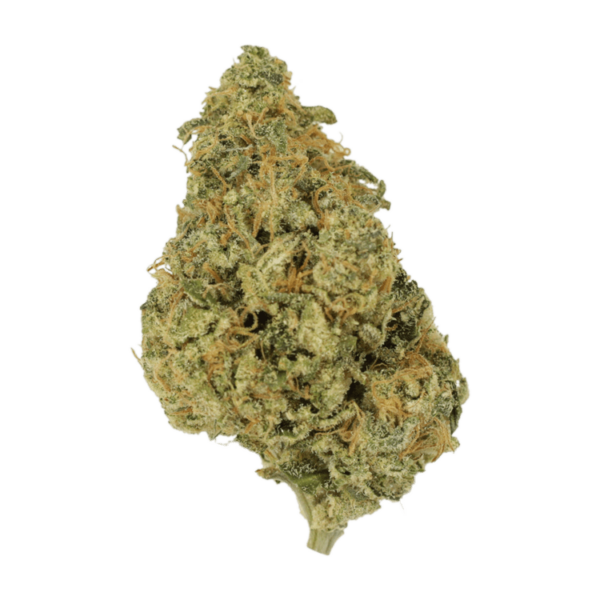 OG Lemon Haze | HighGradeAid Canada