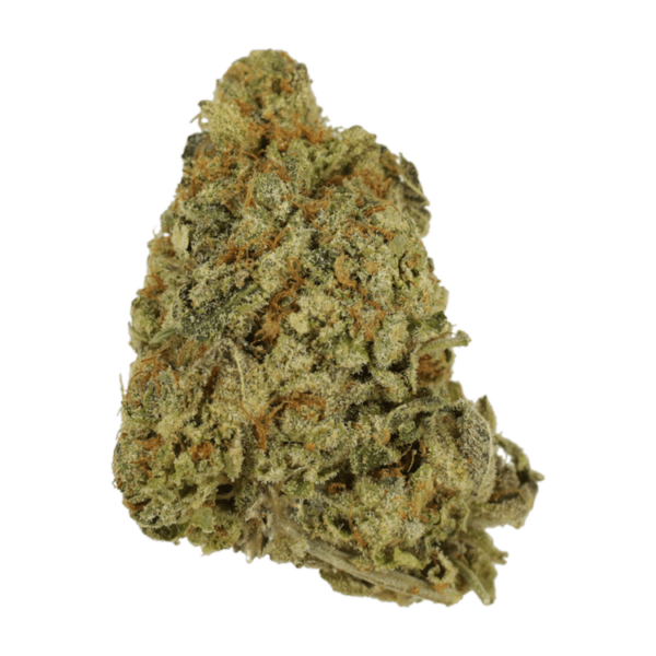 G Whiz | HighGradeAid Canada