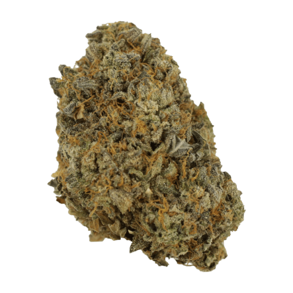 Sherb Quake | HighGradeAid Canada