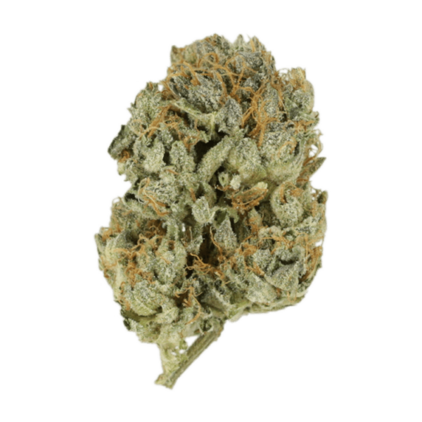Kashmir Kush | HighGradeAid Canada
