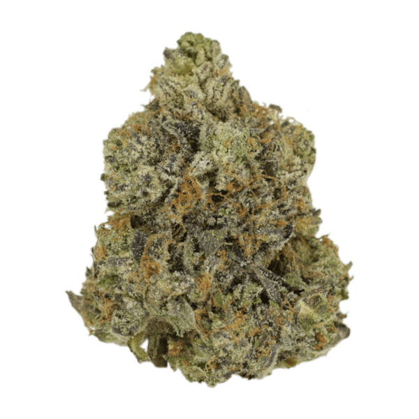 Rockstar | HighGradeAid Canada