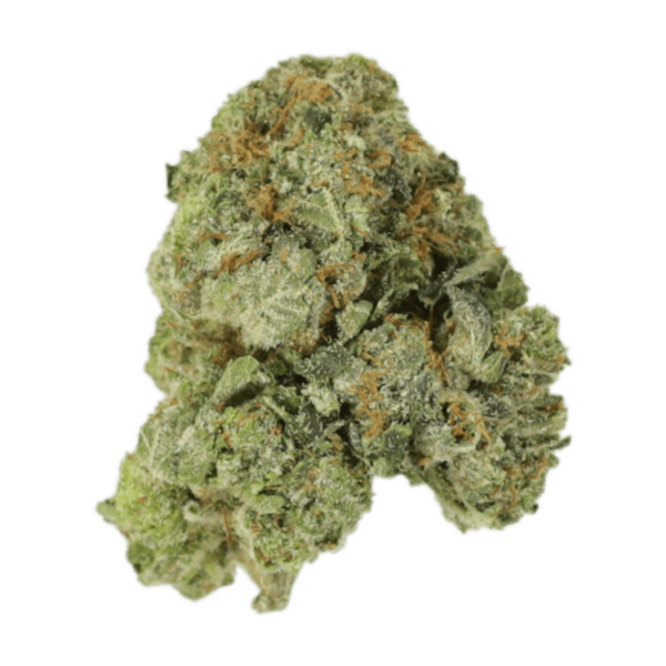 White Russian | HighGradeAid Canada