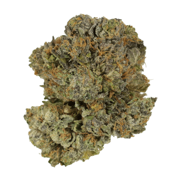 Chocolate Mint | HighGradeAid Canada