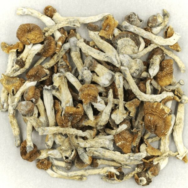 Florida White | HighGradeAid Canada
