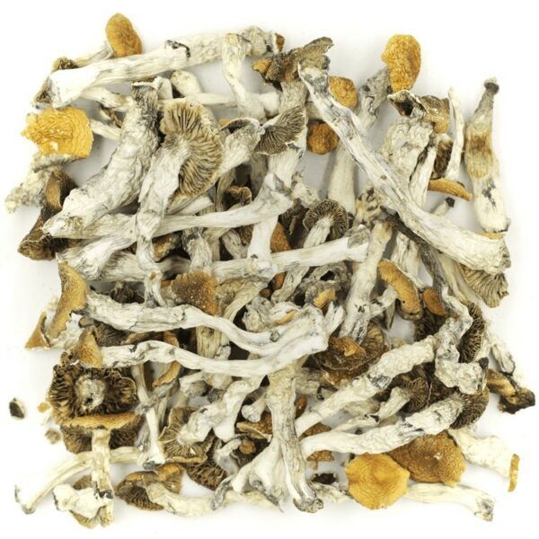 Golden Teacher | HighGradeAid Canada