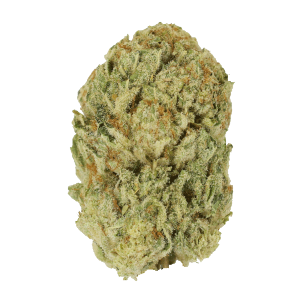 Trap Star | HighGradeAid Canada