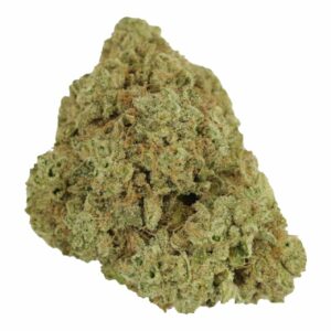 Rainbow Driver | HighGradeAid Canada