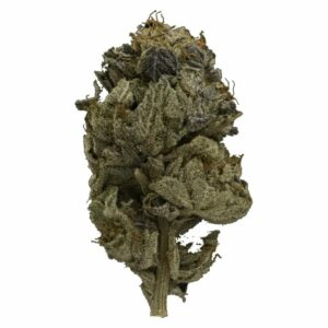 HighGradeAid Canada - Pink Gas Strain | HighGradeAid Canada