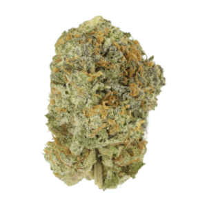 Slurricane | HighGradeAid Canada