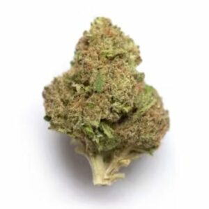 Supersonic | HighGradeAid Canada