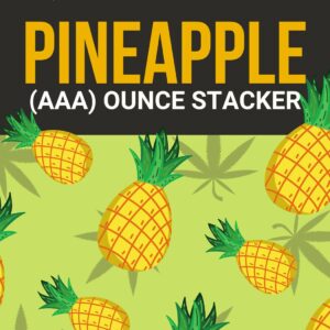 Pineapple 1 OZ Kit | HighGradeAid Canada